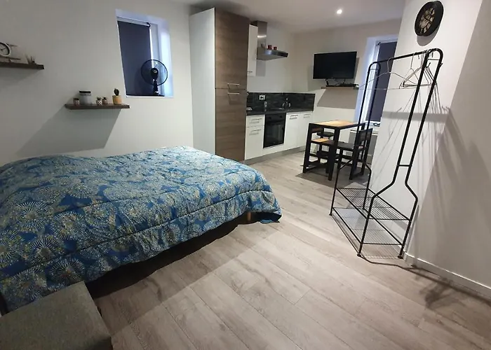 Apartment Studio Baccarat